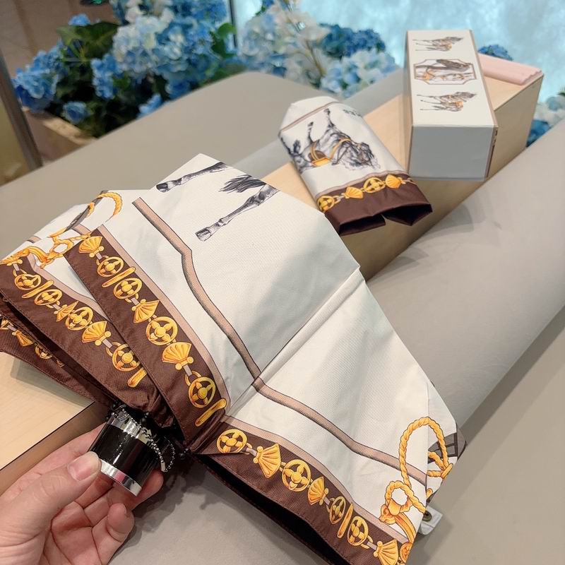 Hermes Umbrella (60)